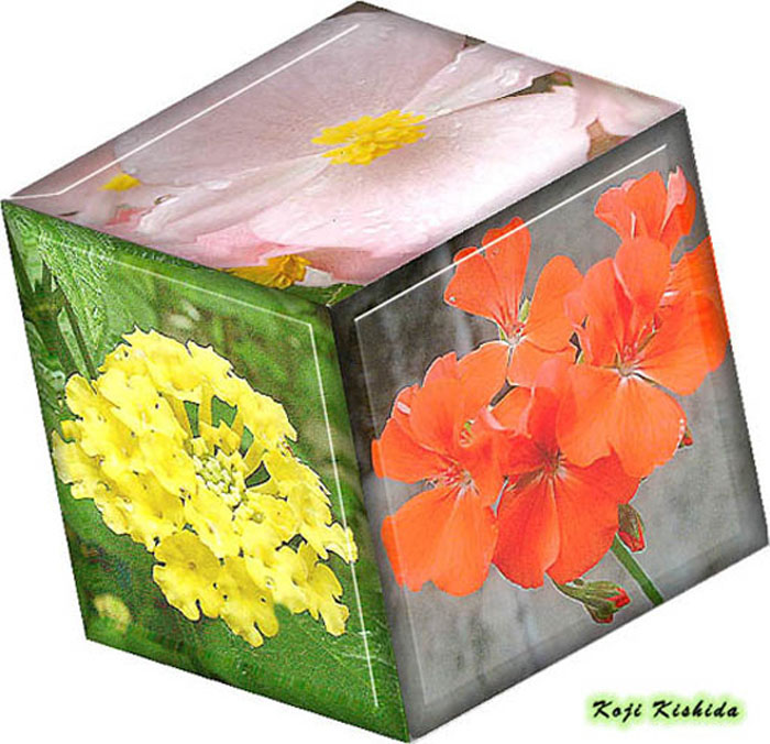 cube_2