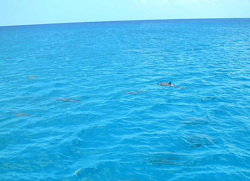 Guam_4