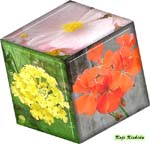 cube_2