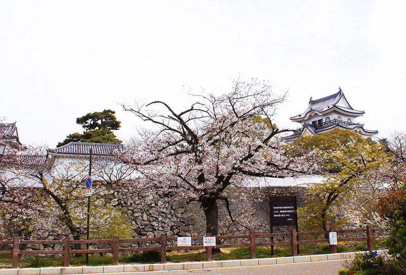 kishiwadajyou_1