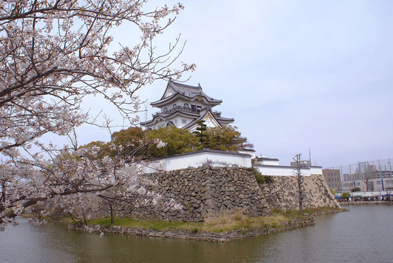 kishiwadajyou_2