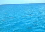 Guam_4