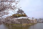 kishiwadajyou_2